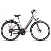 Elektrinis dviratis ProEco Wave AN 1.0 R 504Wh champagne-black-19