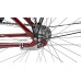 Dviratis AZIMUT Fold 24" 2024 burgund shiny