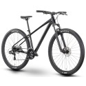Dviratis Raymon Nayta 29" 2025 black-iredesciant black-M