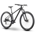 Dviratis Raymon Nayta 29" 2025 black-iredesciant black-L