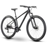 Dviratis Raymon Nayta 29" 2025 black-iredesciant black-XL