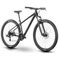 Dviratis Raymon Nayta 29" 2025 black-iredesciant black-XL