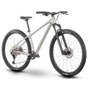 Dviratis Raymon Nayta Ultra 29" 2025 timelessgrey-chrome-L