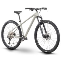 Dviratis Raymon Nayta Ultra 29" 2025 timelessgrey-chrome-L