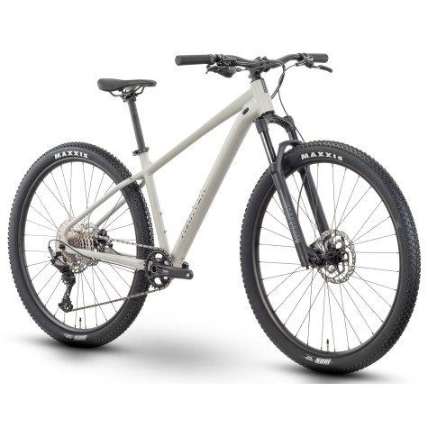 Dviratis Raymon Nayta Ultra 29" 2025 timelessgrey-chrome-L