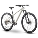 Dviratis Raymon Nayta Ultra 29" 2025 timelessgrey-chrome-XL