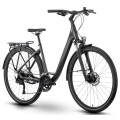 Dviratis Raymon Zayn Pro 2025 Easy Entry anthracite-L