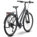 Dviratis Raymon Zayn Pro 2025 Trapeze anthracite-L