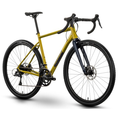 Dviratis Raymon Territ 2025 mustard-steelblue-M