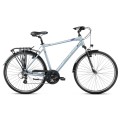 Dviratis Romet Wagant 1 2025 silver-blue-21" / L