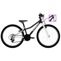 Dviratis Karbon Superlight 20 black