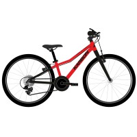 Dviratis Karbon Superlight 20 red..
