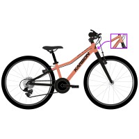 Dviratis Karbon Superlight 20 copper..