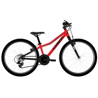 Dviratis Karbon Superlight 24 red..