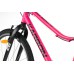 Dviratis Karbon Superlight 26 pink