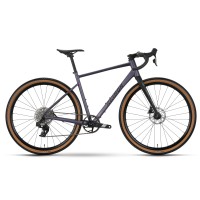 Dviratis Raymon Territ Ultra 2026 smoke lavender-black-L..