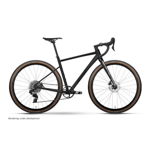 Dviratis Raymon Territ Ultra 2026 black stealth-L
