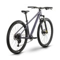 Dviratis Raymon Nayta Comp 29" 2026 smoke lavender-black-XL