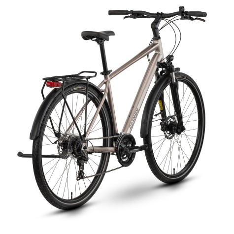 Dviratis Raymon Zayn Comp 2026 taupe grey-black-L