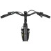 Elektrinis dviratis Ecobike LX100 Black V2 504Wh-19