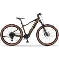 Elektrinis dviratis Ecobike SX300 Green V2 900Wh-21