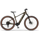 Elektrinis dviratis Ecobike SX300 Green V2 900Wh-21
