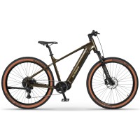 Elektrinis dviratis Ecobike SX300 Green V2 900Wh-21