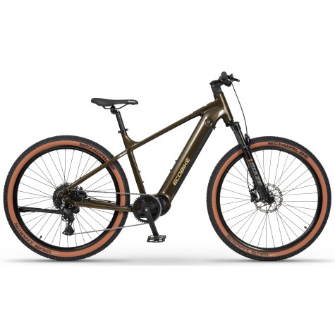 Elektrinis dviratis Ecobike SX300 Green V2 900Wh-21