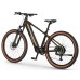 Elektrinis dviratis Ecobike SX300 Green V2 900Wh-21
