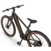 Elektrinis dviratis Ecobike SX300 Green V2 900Wh-21