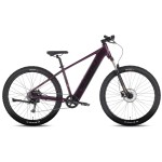 Elektrinis dviratis Tabou Blade UP ECO 29 black-purple-18