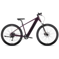 Elektrinis dviratis Tabou Blade UP ECO 29 black-purple-18