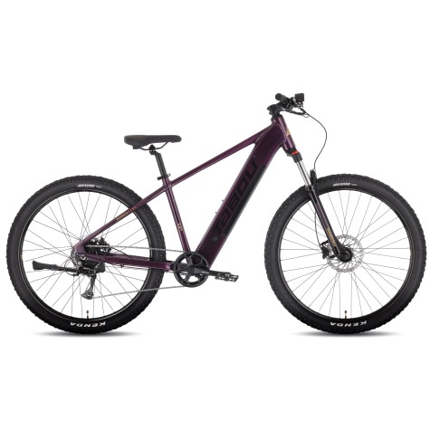 Elektrinis dviratis Tabou Blade UP ECO 29 black-purple-20