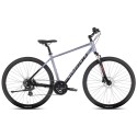 Dviratis Tabou Flow 1 19 black-chameleon-M / 19