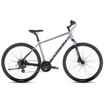 Dviratis Tabou Flow 1 21 black-chameleon-L / 21