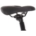 Dviratis Tabou Flow 1 W 19 black-mint-M / 19