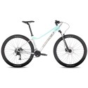 Dviratis Tabou Blade 29 2 W grey-mint-L