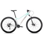 Dviratis Tabou Blade 29 2 W grey-mint-L