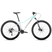 Dviratis Tabou Blade 29 2 W grey-mint-L