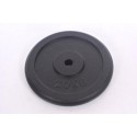 Plieninis svoris 20kg (31,5mm)