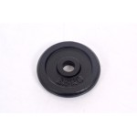 Plieninis svoris 2,5kg (31,5mm)