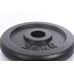 Plieninis svoris 2,5kg (31,5mm)