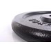 Plieninis svoris 10kg (31,5mm)