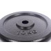 Plieninis svoris 10kg (31,5mm)
