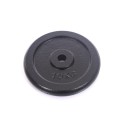 Plieninis svoris 10kg (31,5mm)