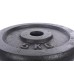 Plieninis svoris 5kg (31,5mm)