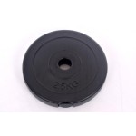 Cementinis svoris 2,5kg (31,5mm)