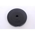 Cementinis svoris 5kg (31,5mm)