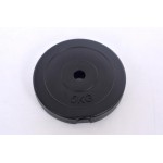 Cementinis svoris 5kg (31,5mm)