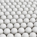 Stalo teniso stalo kamuoliukai Bilaro Match 40+ balti (50vnt.pak.)